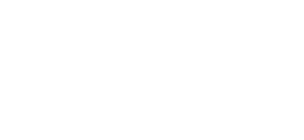 VGT